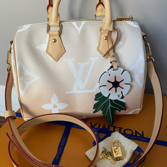 louis vuitton by the pool speedy